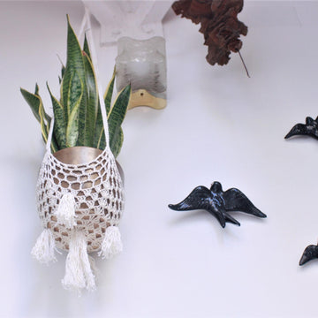 Plant Hanger