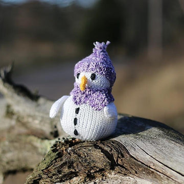 Sonny the Snowman