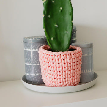 The Cactus Cozy