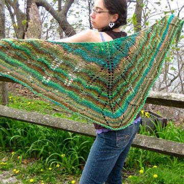 Cutting Ferns Shawl