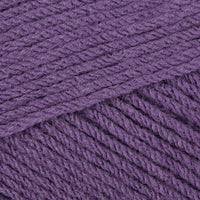 Wild Orchid (80921)