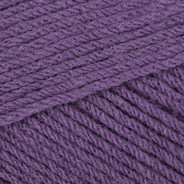 Wild Orchid (80921)