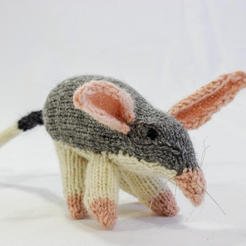 Australian Bilby