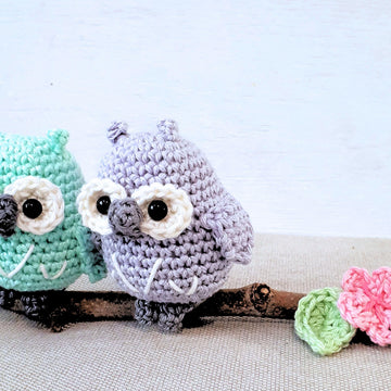 Owls couple on a branch