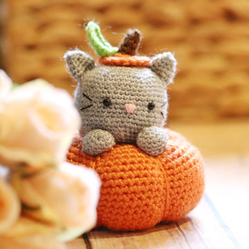 Secret the Pumpkitten