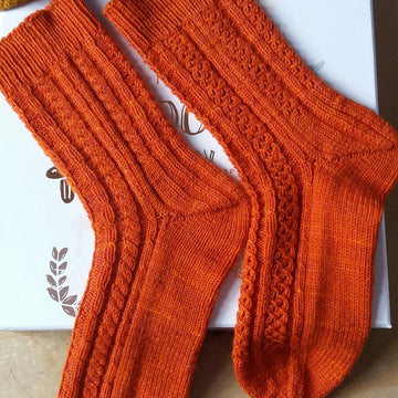 Brothers Not Twins Socks