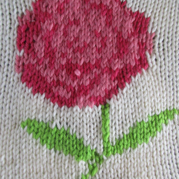 Rose and Moss Blanket