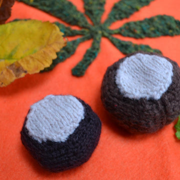 Conker and Shell