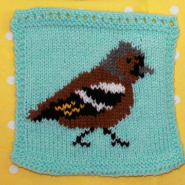 Garden Birds Intarsia Squares
