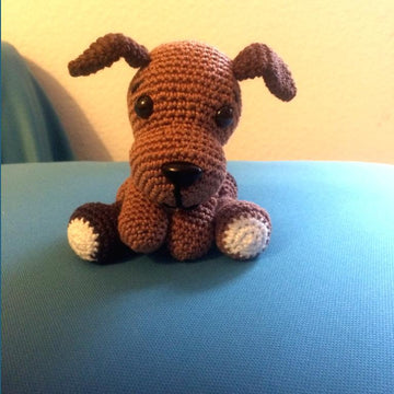 Sitting puppy