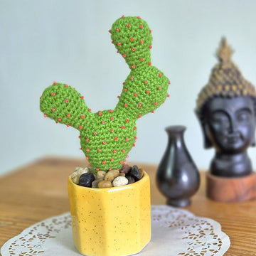 Prickly pear cactus