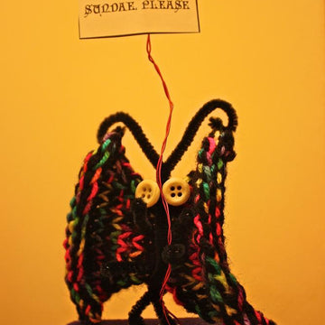 Stitched Slake Moth