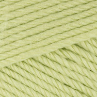 Soft Fern (4221)