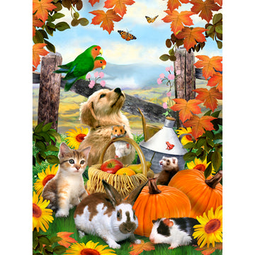 Royal Brush Junior Small Paint By Number Kit 8.75"X11.75" - Autumn Festival
