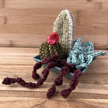 Squishy Succulents