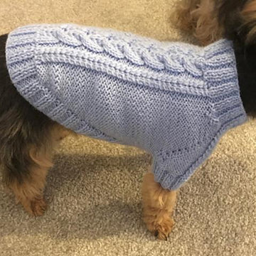Sky Blue Dog Sweater