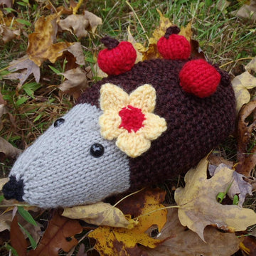 Harriette, the hedgehog