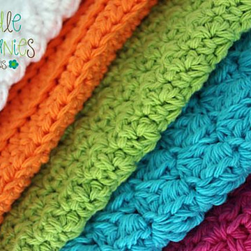 Fun & Fabulous Dishcloths Set of 5