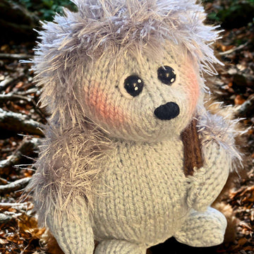 Homeward Bound Hedgehog Choc Orange Cosy