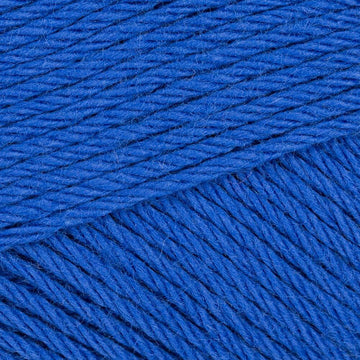 Blue Orchid (252)