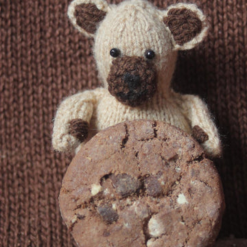 Cookie the mini bear
