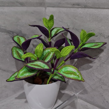 Crochet Tradescantia Zebrina plant