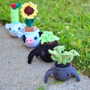 Potted plant