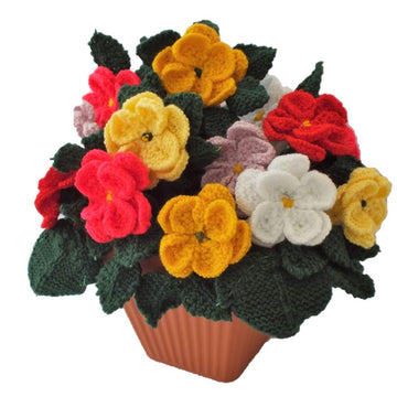 Burst of Dahlias