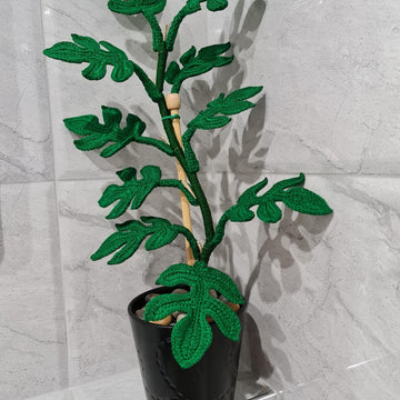 Crochet Monstera Ginny plant