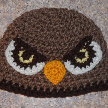 Hawk/Falcon Hat