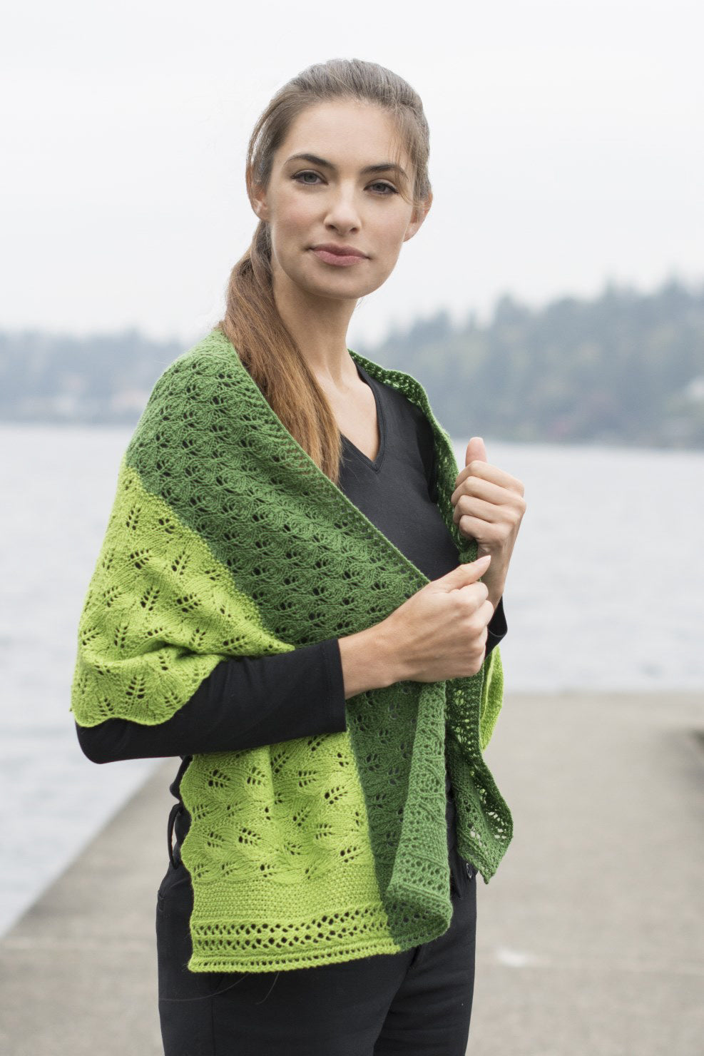 Leafy Transitions Shawl in Cascade 220 Fingering - FW231 - Downloadable PDF