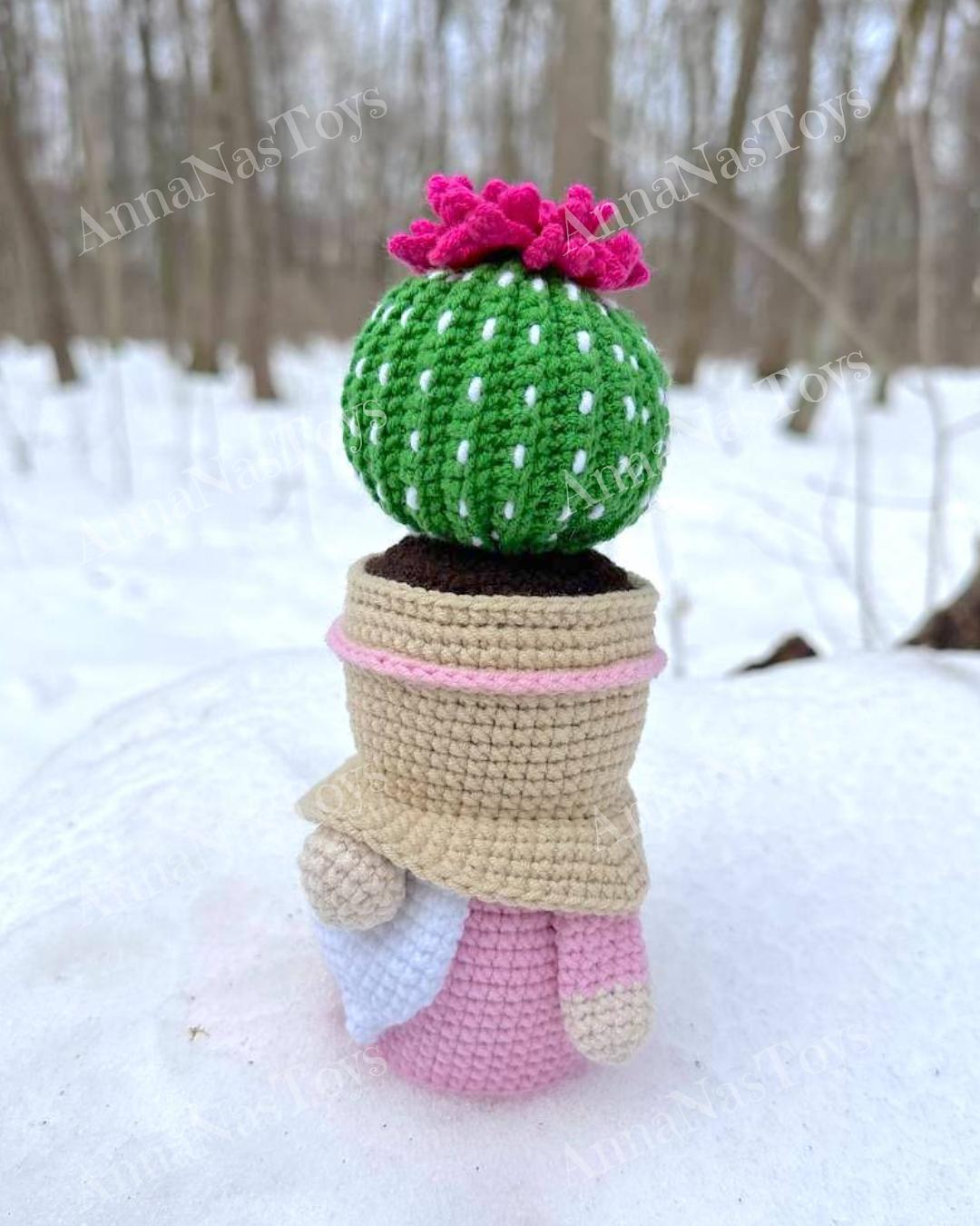 Gnome-cactus in a pot 5