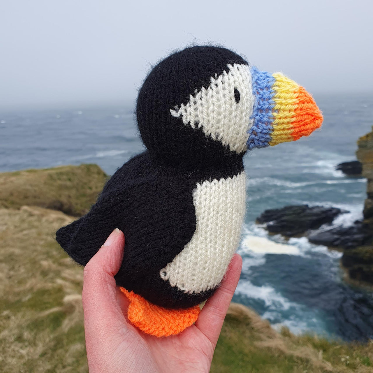 Barry the Puffin