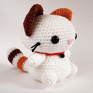 Coconut the Cat