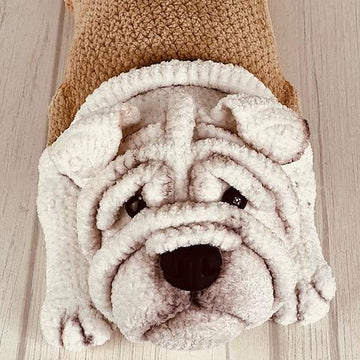 English Bulldog
