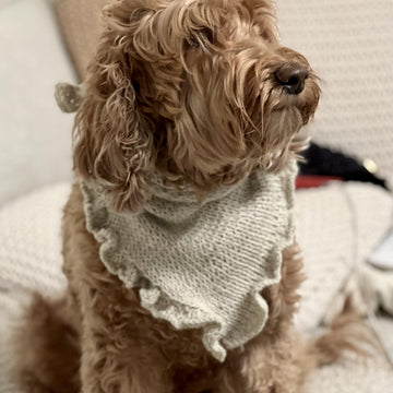 Ruffle Bandana