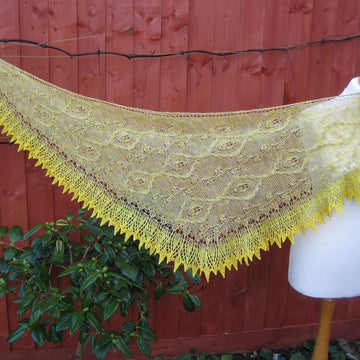 Shawl Rainforest Liana