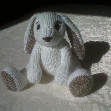 Pocket Bunny