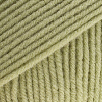 Kiwi (3223)