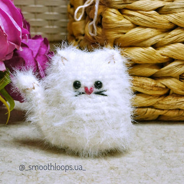 Fluffy Cat
