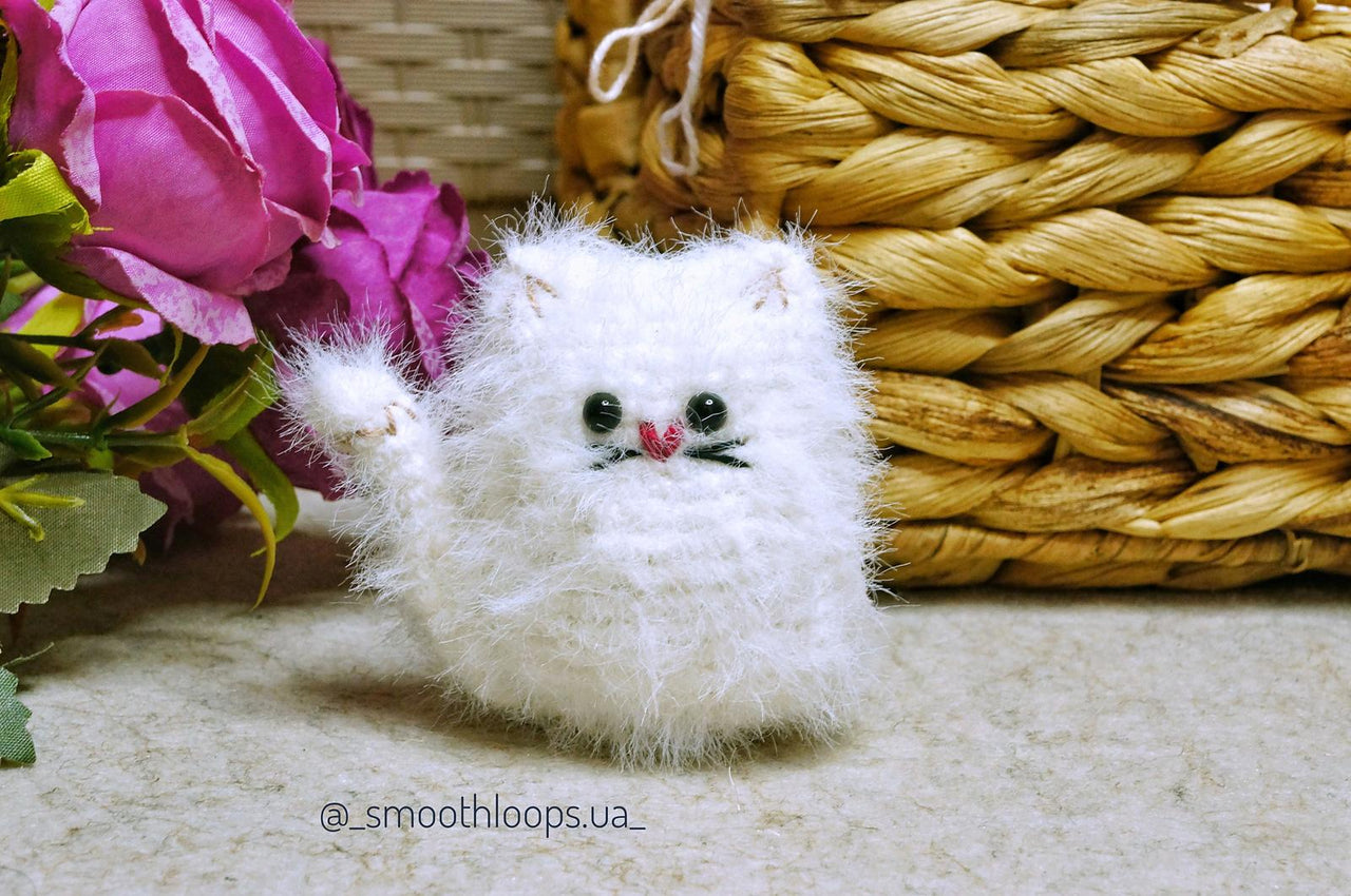 Fluffy Cat
