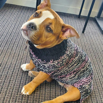 Warm Puppy Sweater