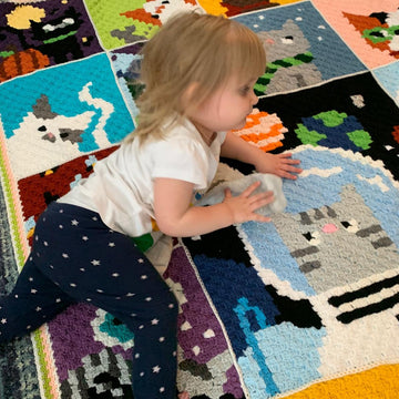 Catghan C2C Blanket