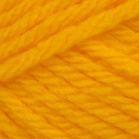 Sunflower (978)