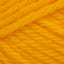 Sunflower (978)