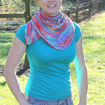 Winglets Shawl