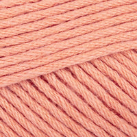 Apricot (Apricot)
