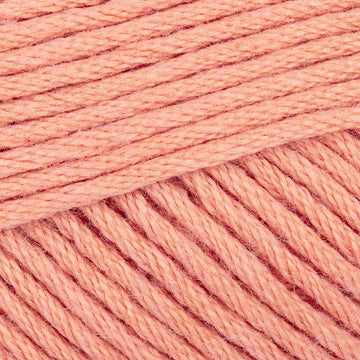Apricot (Apricot)