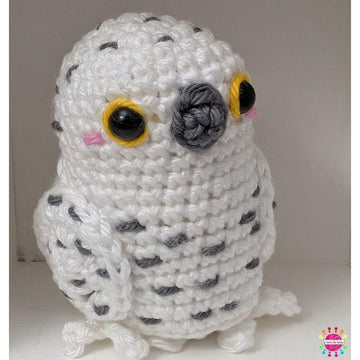 Pocket Birds of Prey