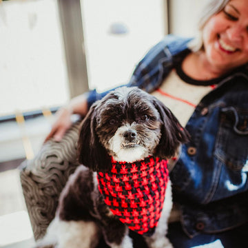 Pit Stop Bandana